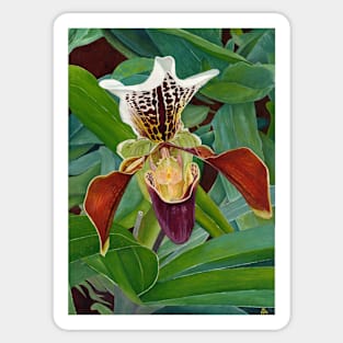 Orchid oil painting on canvas 18 x 24 inches Sticker